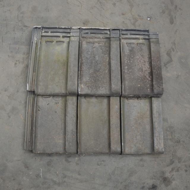 Tuile du Nord blauwgesmoord