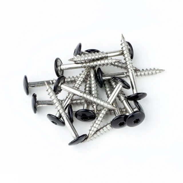 Woodsch Zwarte Schroeven 12 stuks